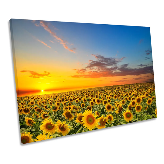 Sunset Sunflowers Floral CANVAS WALL ART Picture Print