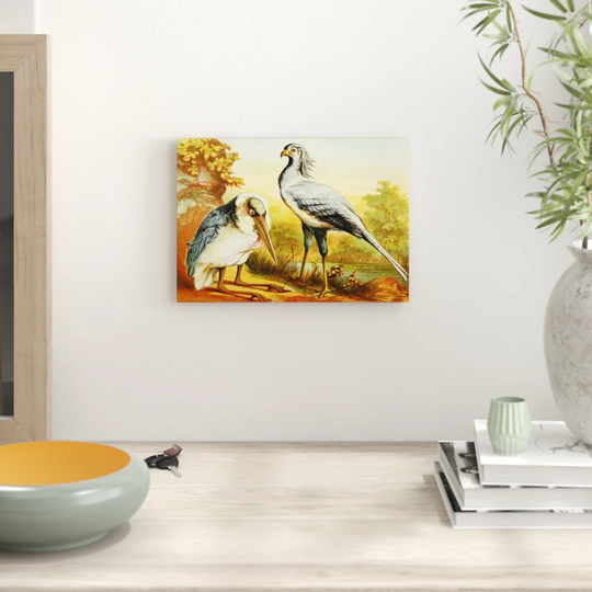 'Vintage Natural History Marabou & Secretary Bird' Graphic Art