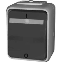 ELG441219 - 2-pole switch surface mounted grey ELG441219