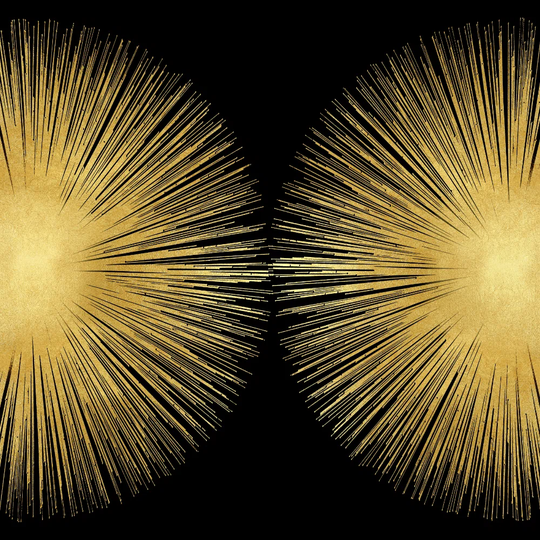 Sunburst on Photograph Black Ii by Abby Young - Wrapped Canvas Art Prints