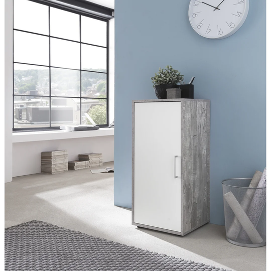 Westley 1 -Door 1 -Shelf Storage Cabinet