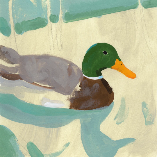 Bathing Mallard I - Unframed Painting