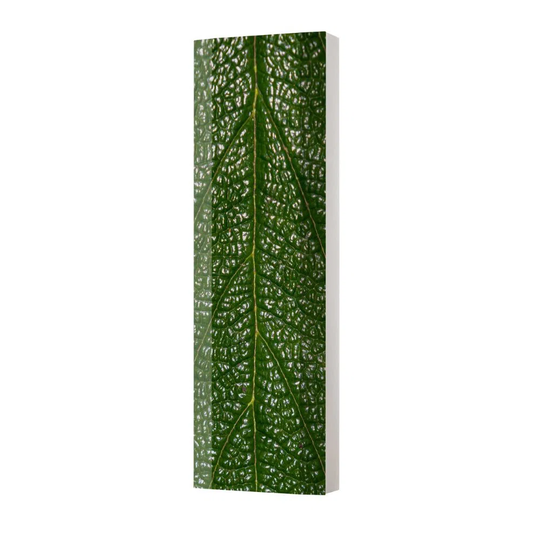 Harrey 45Cm W x 145Cm H x 18Cm D Wall Mounted Bathroom Cabinet