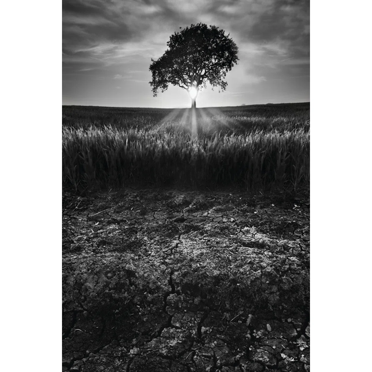 Cracked Earth by Martin Henson - Wrapped Canvas Art Prints