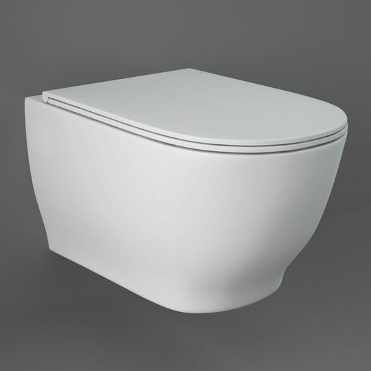 Rak Ceramics - rak Moon Rimless Wall Hung Toilet Hidden Fixations 560mm Projection - Soft Close Seat