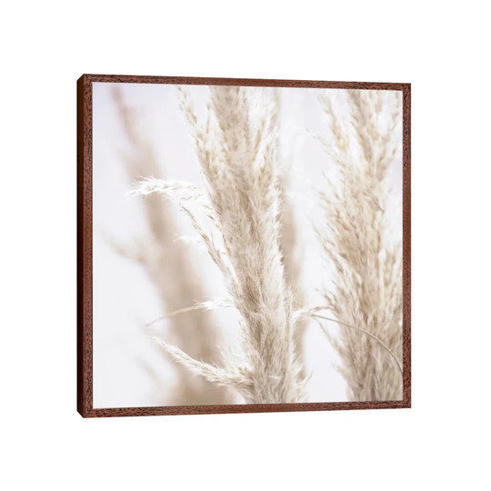Pampas Reed I Square by Monika Strigel - Photograph on Canvas