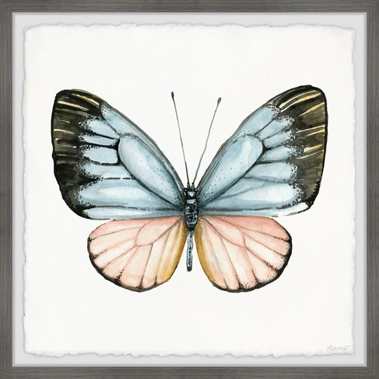 Tropical Butterfly - Picture Frame Painting