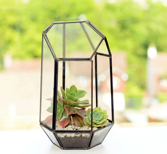 School Glass Terrarium