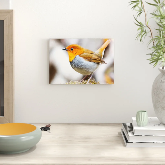 'Robin Bird' Graphic Art