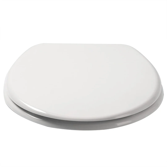Dejarae Soft Close Elongated Standard Toilet Seat