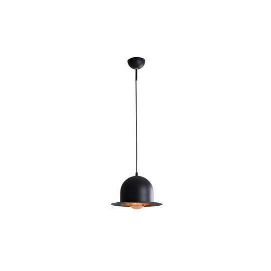 Felipe 1-Light Novelty Pendant
