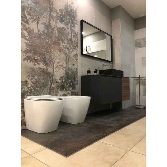 Back To Wall Toilet with Soft Close Seat