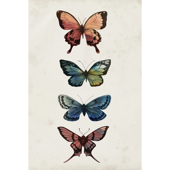 Fairy Study I