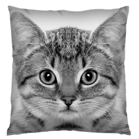Bedlington Velvet Cushion Cover