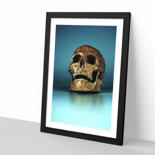 'Bronze Skull' Framed Photographic Print