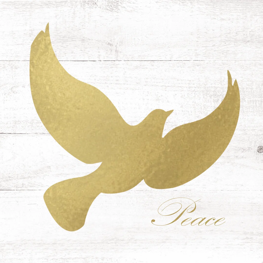 Gold Dove - Wrapped Canvas Graphic Art