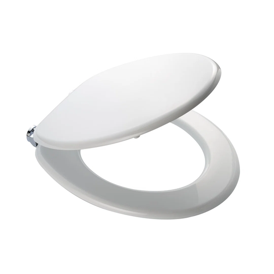 Toilet Seat