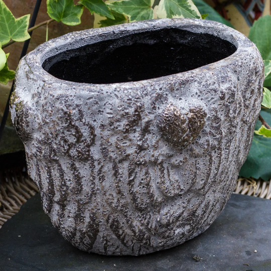 Angel Wings Plant Pot