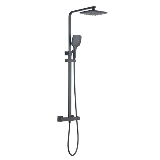 Anabranch Thermostatic Shower with Dual Shower Head