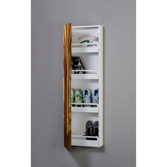 Abandoned Place Metal 8 Pair Shoe Storage Cabinet
