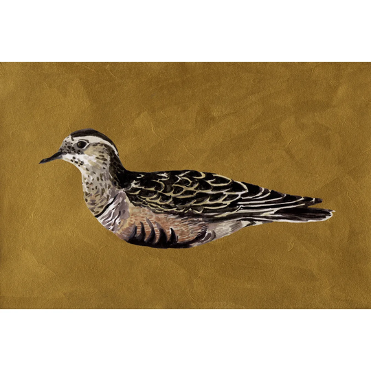 Feathered Friend I by Melissa Wang - Wrapped Canvas Painting