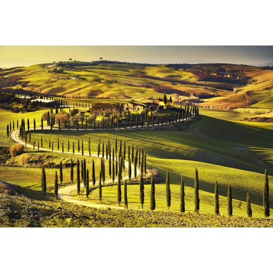 Tuscany, Rural Sunset Landscape. Countryside Farm, White Road An