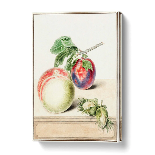 'A Peach and Plum' by E.G. van de Kasteele - Wrapped Canvas Painting Print
