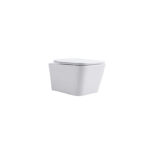 Trinh Rimless Wall Hung Toilet with Dual-Flush