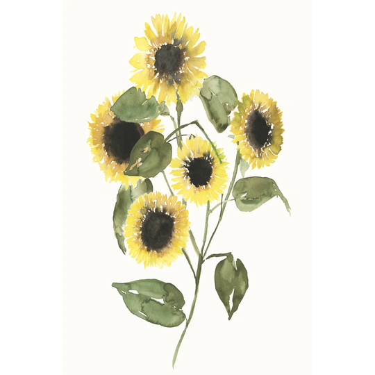 Sunflower Composition II by Jennifer Goldberger - Wrapped Canvas Painting