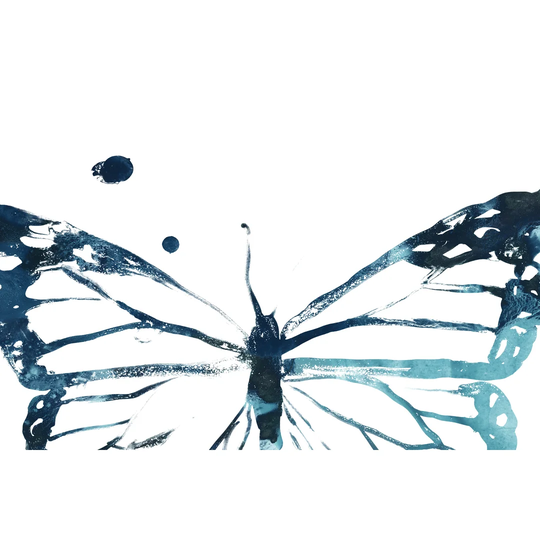 Butterfly Imprint III by June Erica Vess - Wrapped Canvas Painting