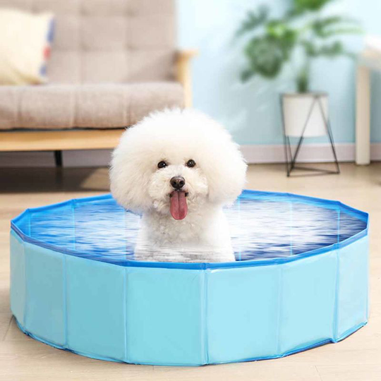 Foldable Pet Bath Pool Collapsible Dog Pool Pet Bathing Tub Pool for Dogs Cats