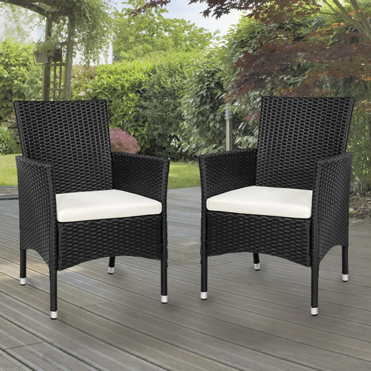 Aldford 2Pc Rattan Garden Chairs