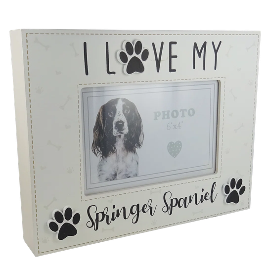 Dailey Picture Frame