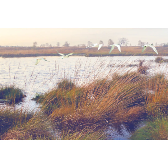 Marshland Hues I by Steve Hunziker - Wrapped Canvas Graphic Art