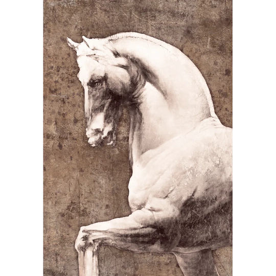 Horse - Wrapped Canvas Graphic Art