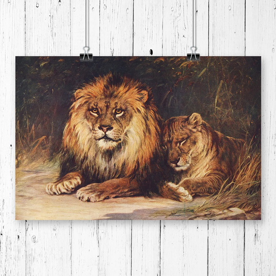 'Vintage Morley, Harry Lions' Graphic Art