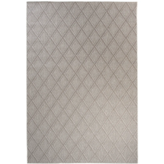 Leana Indoor/Outdoor Grey Rug