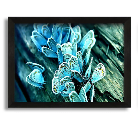 Blue Butterflies - Picture Frame Graphic Art on Canvas