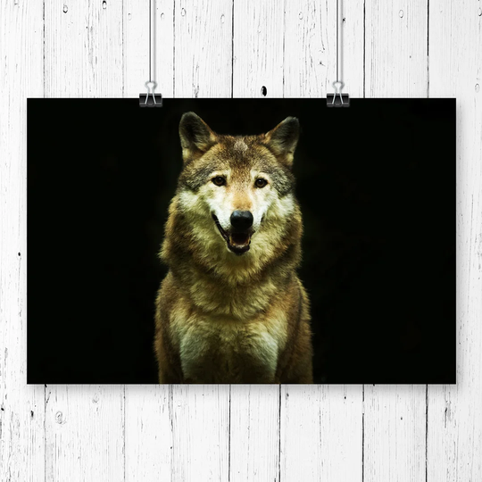 'Wolf' Graphic Art