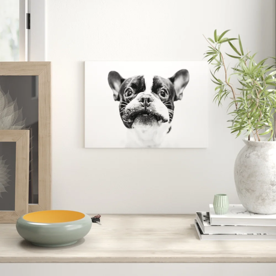 'French Bulldog Dog' Graphic Art
