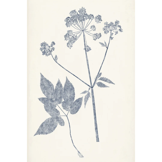 Navy Botanicals IV by Vision Studio - Wrapped Canvas Painting