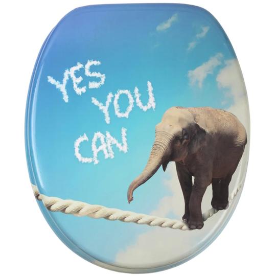 Yes You Can Soft Close Toilet Seat