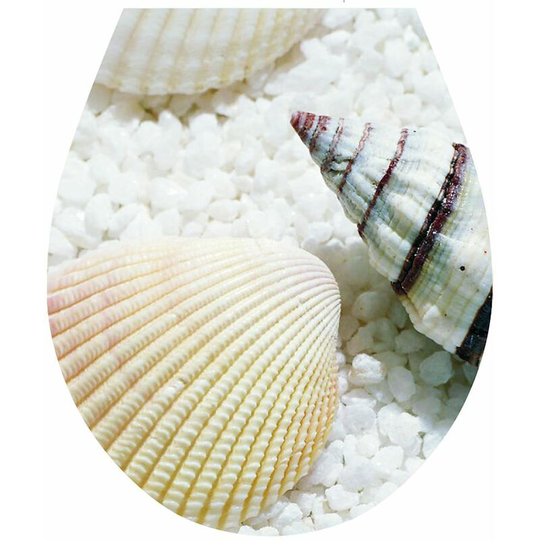 Shells' wc Seat Sticker Toilet Lid Cover Bathroom Art 32x38cm