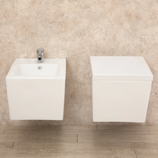 Shawnita Wall Hung Toilets with Soft Close Seat