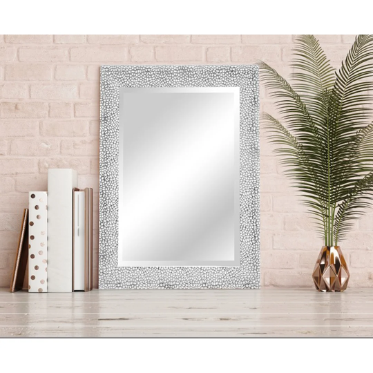 Wisner Plastic Framed Wall Mounted Full Length Mirror in Silver