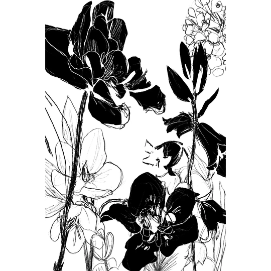 Monotype Garden II by June Erica Vess - Wrapped Canvas Graphic Art
