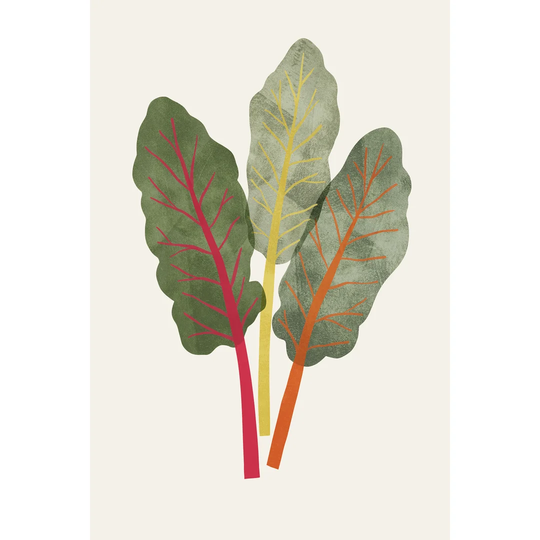 Organic Veg V by - Wrapped Canvas Painting