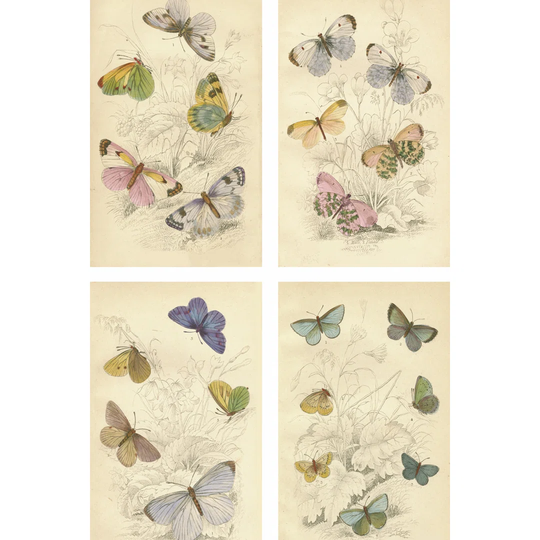 Reverse Spring Tile VII (ST) by Chariklia Zarris - Wrapped Canvas Painting