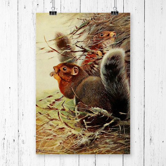 'Vintage St. Paul Squirrel' by W Kuhnert Graphic Art