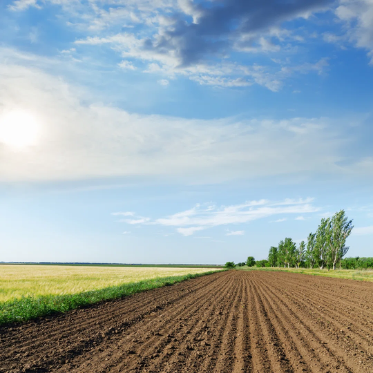 Agriculture